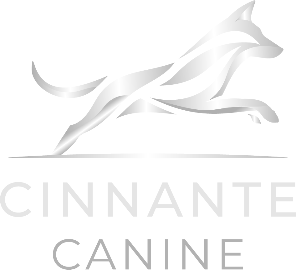 Cinnante Canine